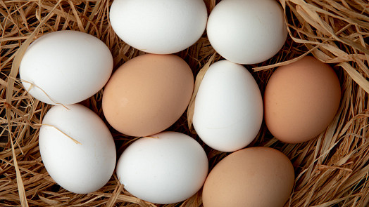 Vejce nemusíte nutně skladovat jen v lednici: Farmářka prozradila, co rozhoduje o jejich trvanlivosti