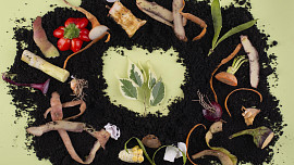 Domácí kompostování: Jak i v paneláku vytvořit pomocí vermikompostéru "žížalí čaj", parádní hnojivo pro květiny i zeleninu