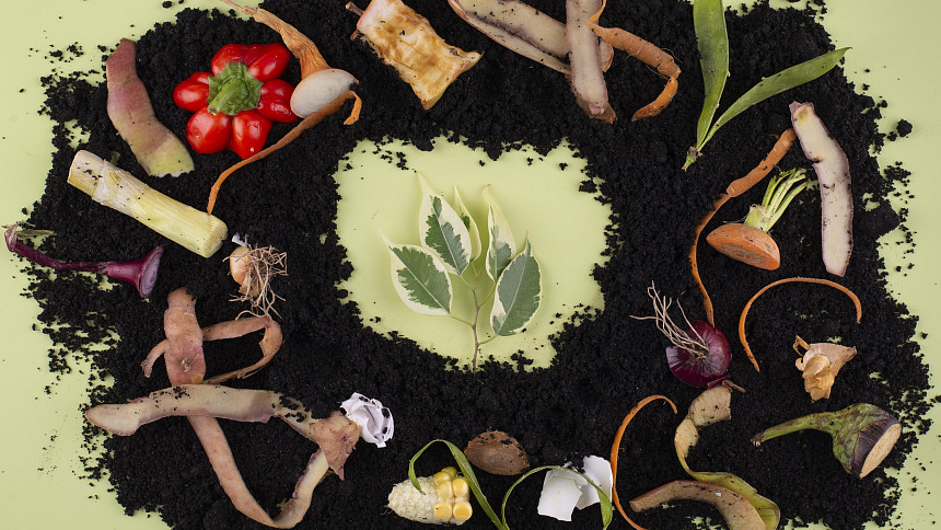 Domácí kompostování: Jak i v paneláku vytvořit pomocí vermikompostéru "žížalí čaj", parádní hnojivo pro květiny i zeleninu