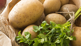 Vypěstujte si vlastní rané brambory i bez zahrady: jde to snadněji, než si myslíte