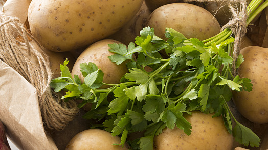 Vypěstujte si vlastní rané brambory i bez zahrady: jde to snadněji, než si myslíte