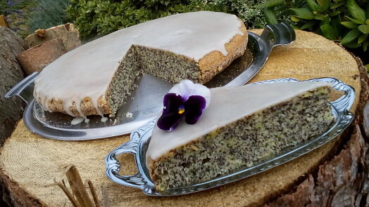 Nejlepší makovník na léto: Cuketa mu dodá šťavnatost a citron svěží chuť