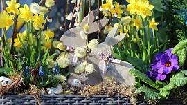 Jak zkrášlit parapety na Velikonoce? Využijte skořápky vajíček, bylinky i hrníček na kávu!