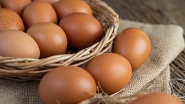 Jak poznat české vejce? Krabička může být matoucí, musíte se podívat na skořápku!