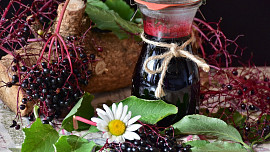 Byliny v kuchyni: Květy černého bezu můžete usmažit, z plodů uvařit sirup nebo želé