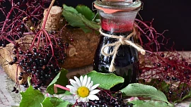 Byliny v kuchyni: Květy černého bezu můžete usmažit, z plodů uvařit sirup nebo želé