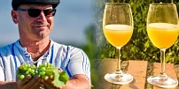 Burčák stojí jako loni, koupíte jej již od 90 Kč za litr. „Letošní ročník bude špičkový,“ říká vinař David Šťastný