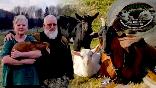 První kozu dostal syn jako domácího mazlíčka, nyní na Farmě Vysoká vyrábějí kozí sýry mnoha příchutí