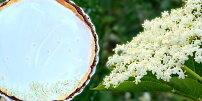 Nejlepší využití bezových květů! Tenhle úžasný cheesecake musíte zkusit, dokud je sezóna