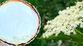 Nejlepší využití bezových květů! Tenhle úžasný cheesecake musíte zkusit, dokud je sezóna