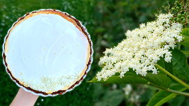 Nejlepší využití bezových květů! Tenhle úžasný cheesecake musíte zkusit, dokud je sezóna
