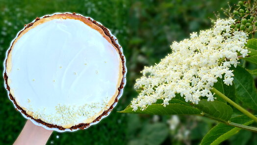 Nejlepší využití bezových květů! Tenhle úžasný cheesecake musíte zkusit, dokud je sezóna