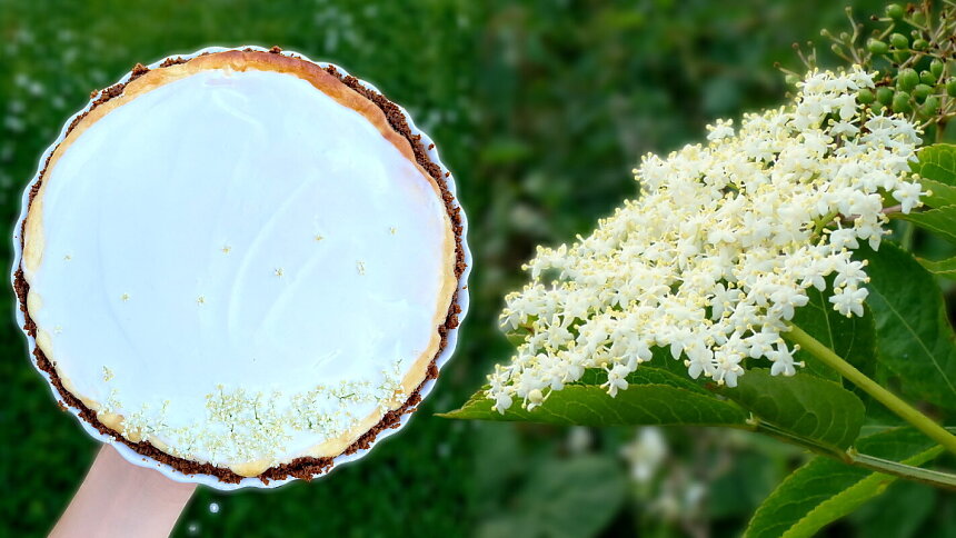 Nejlepší využití bezových květů! Tenhle úžasný cheesecake musíte zkusit, dokud je sezóna
