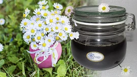 Sedmikráskový med: Z obyčejných květů vykouzlíte pochoutku s překvapivými účinky