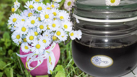 Sedmikráskový med: Z obyčejných květů vykouzlíte pochoutku s překvapivými účinky