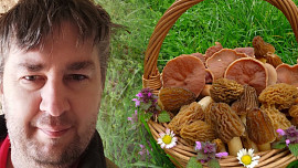 Jarní jedlé houby: Mykolog Petr Souček doporučuje těchto 10 druhů a radí, na co si při sběru hub dát pozor