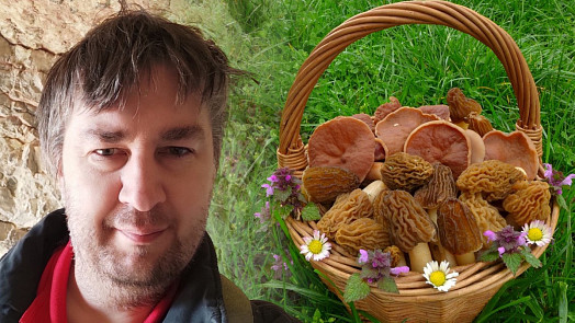 Jarní jedlé houby: Mykolog Petr Souček doporučuje těchto 10 druhů a radí, na co si při sběru hub dát pozor