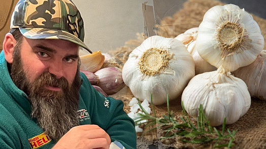 Farmář Daniel Pech poradil, jak poznat kvalitní česnek. Sám ho na Vysočině pěstuje a prodává za 75 korun za kilo ve stánku u pole