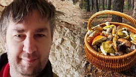 Jak správně skladovat nasbírané houby? Mykolog Petr Souček vysvětluje, co udělat už v lese a proč nemrazit houby bez povaření