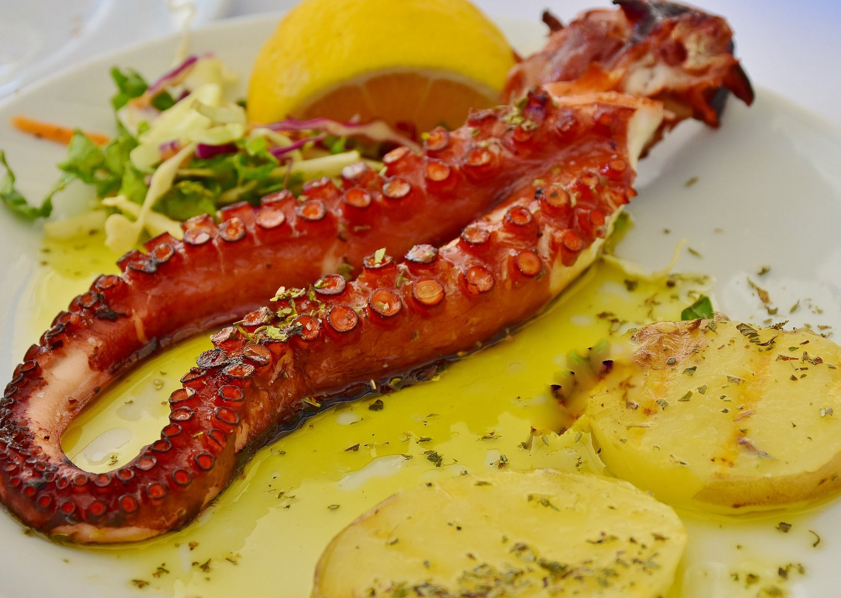 Jak upravit chobotnice, olihně a sépie TopRecepty.cz