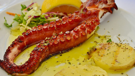 Grilování jako u moře: Zkuste si připravit opečené olihně nebo salát z chobotnice