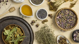 Encyklopedie bylinek na sušení: Jak správně usušit libeček, jak majoránku a co se šalvějí