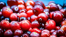 Brusinky: Zázračné malé bobulky, které pravidelně zachraňují mnoho žen a dívek