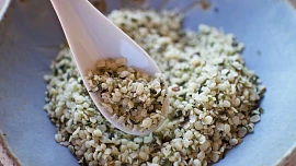 Konopné semínko jako superpotravina: Hodí se do salátu i na výrobu skvělého mléka