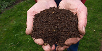 Rady a tipy, jak na domácí kompost: Kam ho umístit a co do něj (ne)patří?