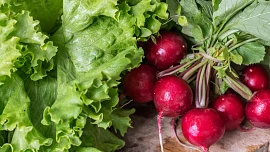 Zeleninu můžete sít i v červenci a v srpnu. Kterou vybrat, abyste si užili bohatou sklizeň?