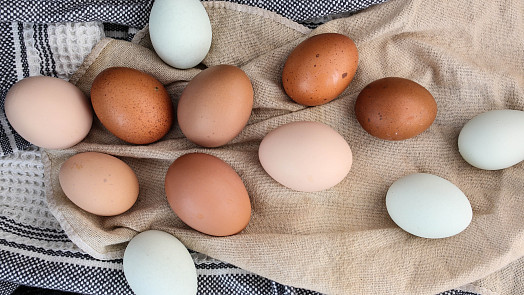 Lexikon vajec: Už jste ochutnali obří pštrosí, delikátní křepelčí nebo zakázané kachní?