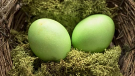 Tradice na Zelený čtvrtek: Kdy si dát špenát a kdy jidášky, abychom byli celý rok zdraví?