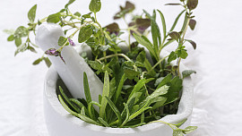 Sezóna jarních bylinek začíná: Co sbírat a pěstovat a jak z nich v kuchyni dostat maximum chuti