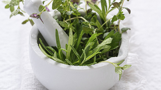 Sezóna jarních bylinek začíná: Co sbírat a pěstovat a jak z nich v kuchyni dostat maximum chuti