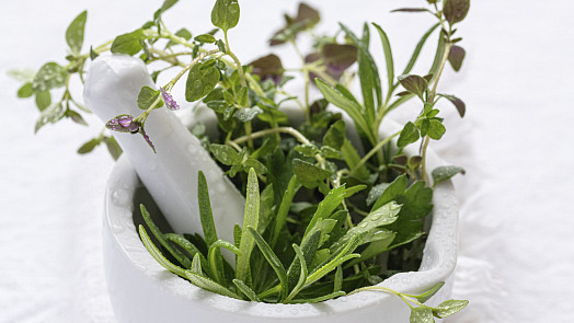 Sezóna jarních bylinek začíná: Co sbírat a pěstovat a jak z nich v kuchyni dostat maximum chuti