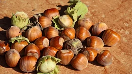 Lískové oříšky doplní energii po běhání, zmírní stres a ještě skvěle „nakrmí“ váš mozek!