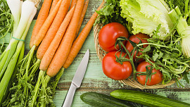 Předpěstování plodin za oknem: Vlastní úrodu zeleniny můžete mít, i když nemáte zahradu