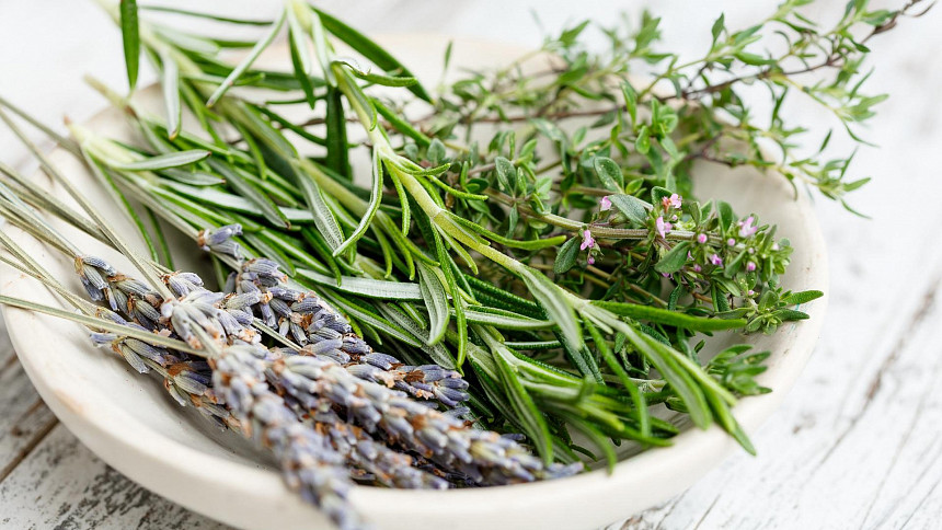 Jak nasušit bylinky, abyste nejlépe zachovali jejich aroma? Tyhle kroky zajistí perfektní výsledek