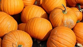 Dýně v hlavní roli! Zpříjemněte si ráno báječnou snídaní