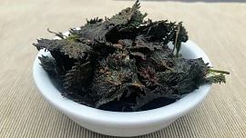 Vyzkoušeli jsme chipsy z kopřiv! Jak je připravit, aby chutnaly fantasticky?