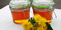 Užijte si sezonu pampelišek: Jak z nich připravit úžasný pampeliškový med i limonádu