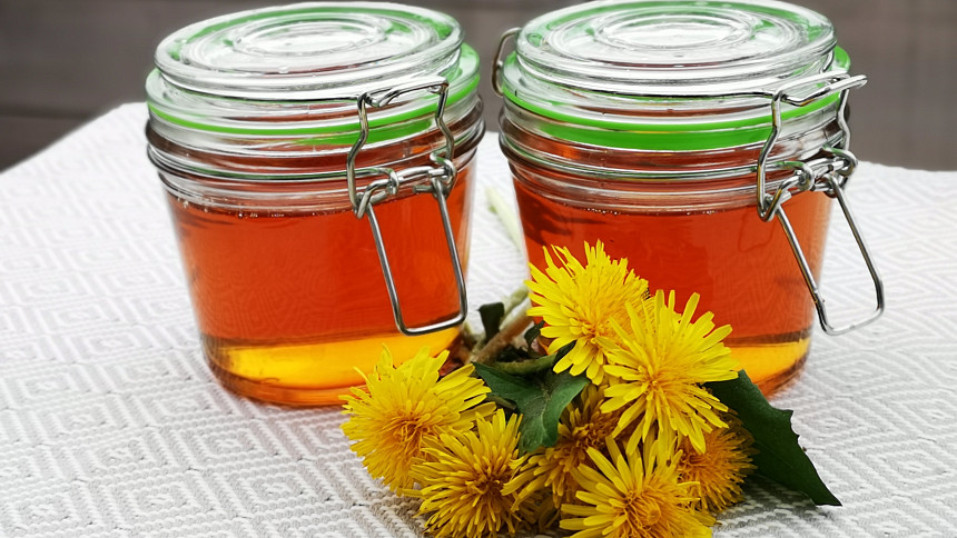 Užijte si sezonu pampelišek: Jak z nich připravit úžasný pampeliškový med i limonádu