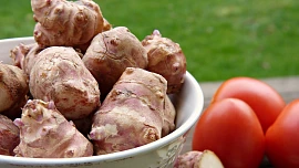 Židovské brambory či jeruzalémský artyčok: Z topinamburů uděláte skvělou polévku i salát