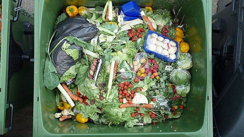 Potraviny v odpadcích jsou velkým problémem po celém světě.