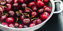 Kolik třešní, tolik višní: Čím se liší červené letní plody a kdy na ně vyrazit?