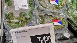Nádivka místo kaviáru? Kilo kopřiv v českých supermarketech stojí skoro 700 Kč a předčí tak i drahé papriky