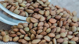 Novoroční čočka: Víte, jak ji správně připravit a kterými bylinkami dochutit?