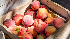 Šťavnaté broskve neboli perská jablka jsou považována za symbol dlouhověkosti. Víte, proč?