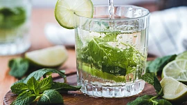 Kdy sbírat blahodárnou mátu? Ze svěží byliny vyrobíte super limonádu i pikantní  čatní