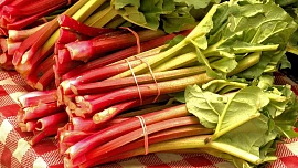 Sezóna jedinečné rebarbory začíná! Jak ji správně sklízet a upravit, aby nebyla jedovatá?